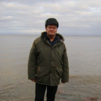 Виталий Тишков, 65 лет, Арамиль, Россия