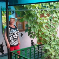 Надежда Захарова, 70 лет, Ульяновск, Россия