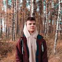 Александр Иванов, 22 года, Владимир, Россия