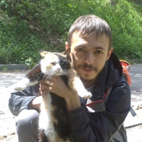 Дмитрий Плеханов, 37 лет, Самара, Россия