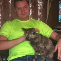 Дмитрий Мухамедзянов, 32 года, Красноярск, Россия