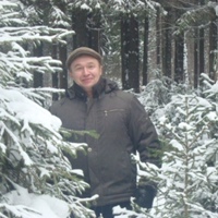 Николай Вихарев, 53 года, Киров, Россия