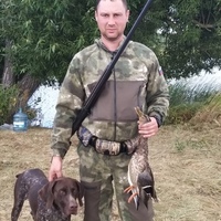 Дмитрий Сытенко, 37 лет, Липецк, Россия