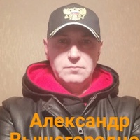 Александр Вышегородцев