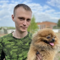 Алексей Дерунов, 39 лет, Пермь, Россия