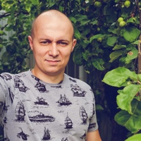 Андрей Волков, 36 лет, Великий Новгород, Россия
