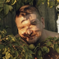 Валентин Вещев, 44 года, Тольятти, Россия