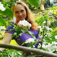 Мария Домрачева, 35 лет, Санкт-Петербург, Россия