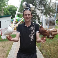 Владимир Кочетков, 34 года, Санкт-Петербург, Россия