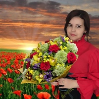 Фарида Алиева, 29 лет, Махачкала, Россия