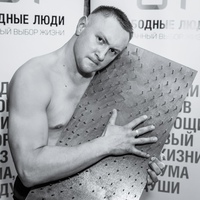 Алексей Виноградов, 40 лет, Санкт-Петербург, Россия