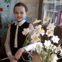 Angelina Nazipova, 20 лет, Джанкой, Россия